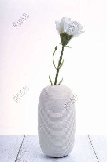 简约白色花瓶插花图片