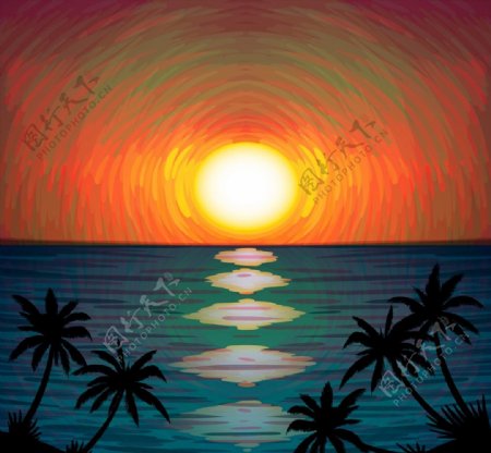 海边日落和椰子树图片
