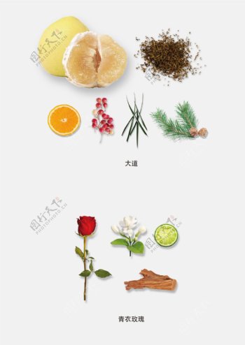 香料植物水果图片
