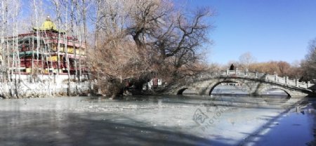 结冰的湖泊拱桥老树风景图片