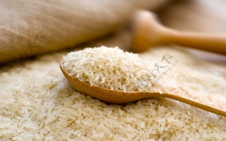 大米米粒食材背景海报素材图片