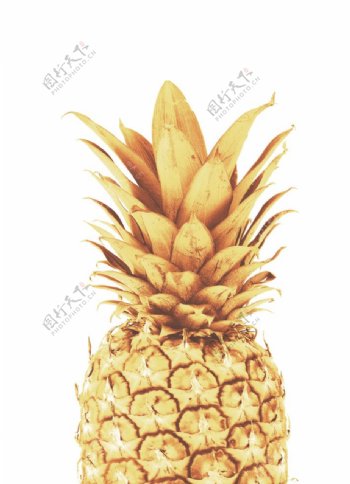 高清金色菠萝装饰画图片