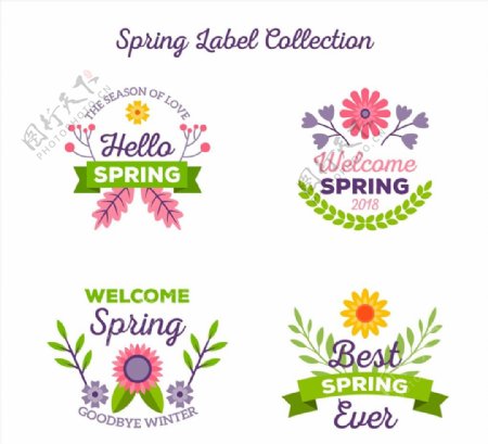 清新春季花卉标签图片
