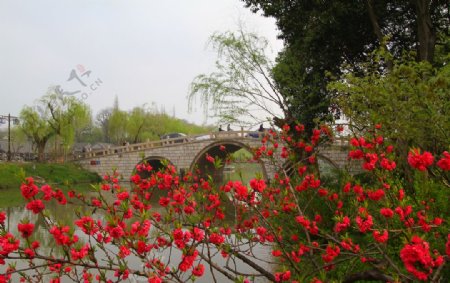 扬州大虹桥图片