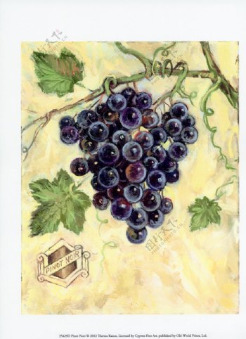 美式葡萄水果装饰画图片