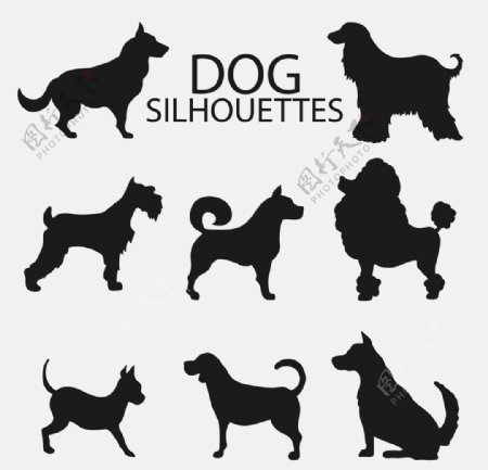 狗DOG动物卡通图片