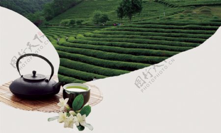 茶叶清新茶具背景海报素材图片