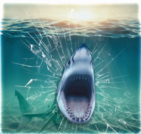 凶恶的3D鲨鱼大嘴鲨鱼立体装饰图片
