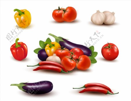 新鲜蔬菜矢量图片