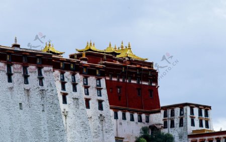 西藏拉萨布达拉宫金顶图片