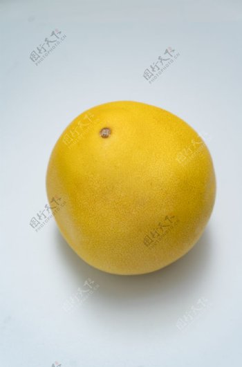 红柚子摄影图图片