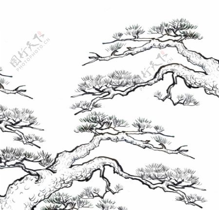 线条松树装饰元素图片
