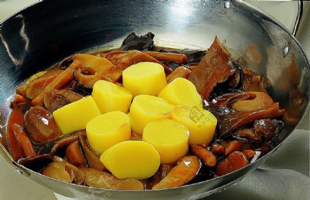 豫菜杂菌日本豆腐锅图片