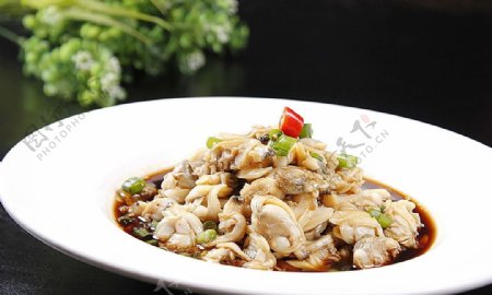 北京菜捞汁花蛤图片