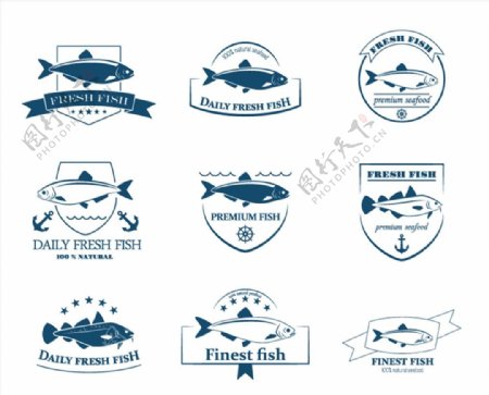 新鲜鱼类标签图片