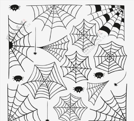 手绘蜘蛛网背景图片