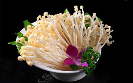 山珍菌金针菇图片