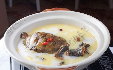 海鲜边炉龟蛇锅图片