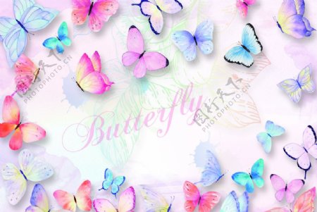 彩色立体蝴蝶背景花墙装饰图图片