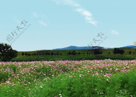 木兰草原图片