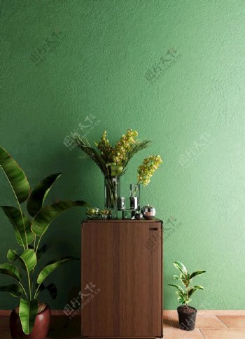 草绿色墙纸图片