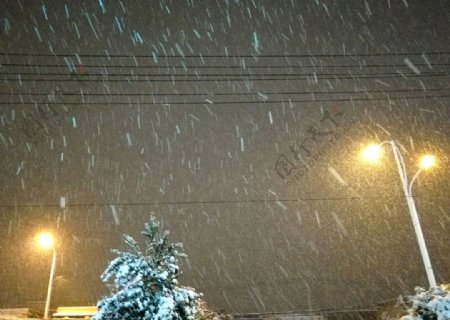 下雪天图片