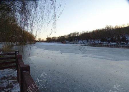 湖中结冰图片