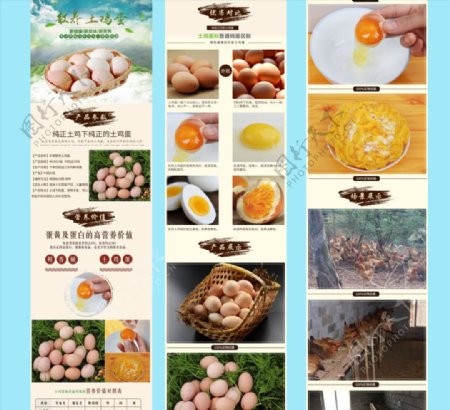 散养土鸡蛋详情页图片