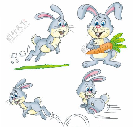 兔子矢量图图片