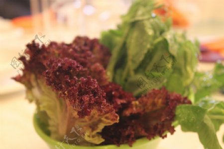 蔬菜香麦油麦菜紫苏