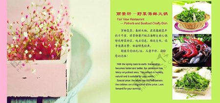 野菜火锅宣传册