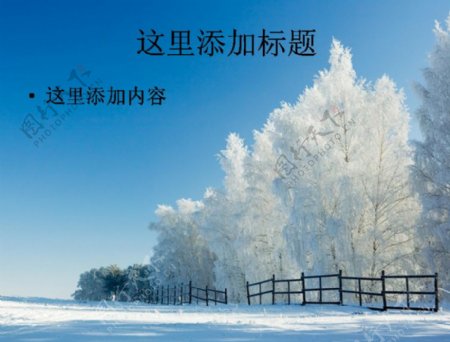 玉树琼枝的美丽雪景高清电脑PPT12