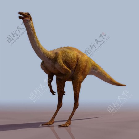 GALLIM恐龙3d模型图片