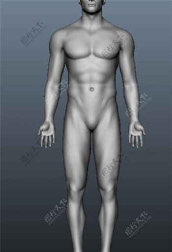 3D男性人体游戏模型