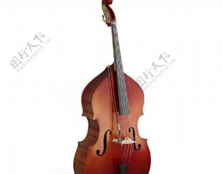 低音提琴doublebass