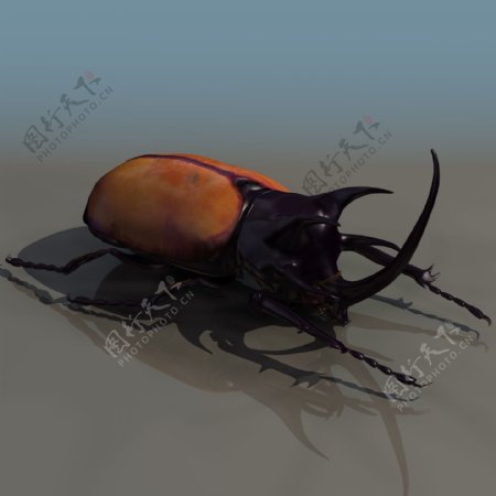动物昆虫3d模型动植物模型素材免费下载虫类3d模型18