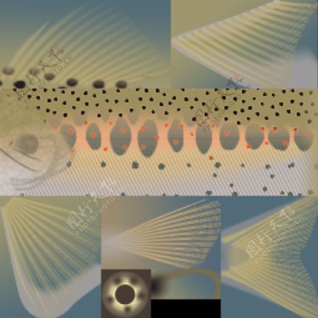 动物鱼类3d模型动植物模型免费下载动植物3d模型31