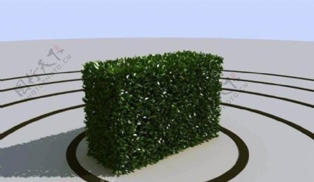 高精细修剪后的灌木丛模型bushtrimhi01