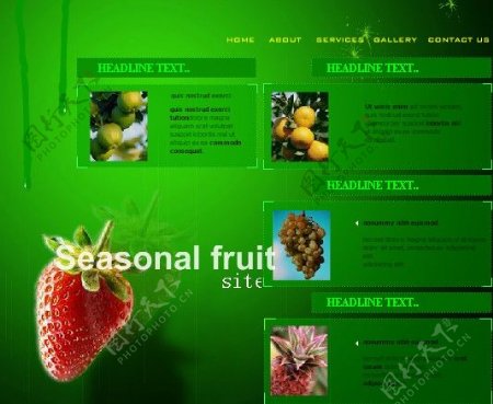 水果网站绿色背景