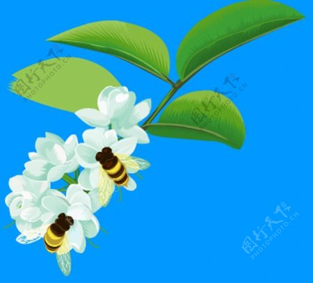 2只小蜜蜂采蜜flash动画