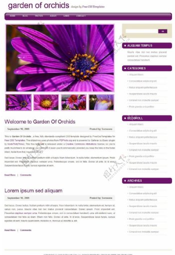 紫色兰花花园BLOG网页模板