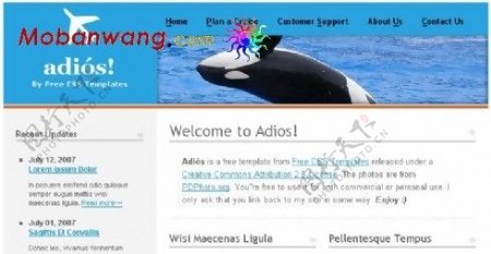 蓝色海豚企业网页模板