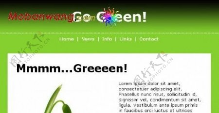 绿色产品介绍网页模板
