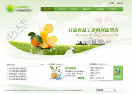 清新食品网站模板PSD素材