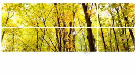 森林风景背景PPT模板