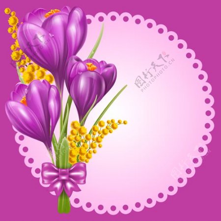 美丽的紫色花卡矢量图03