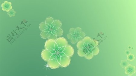 春天绿色花瓣背景图
