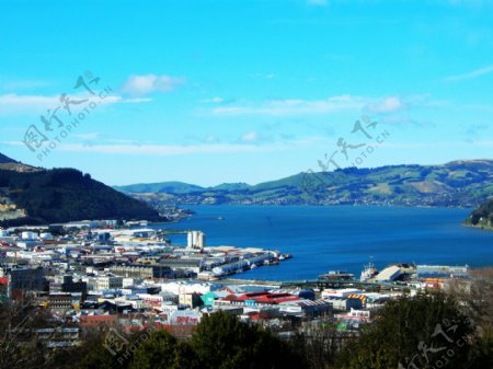 新西兰达尼丁海岸Dunedin图片