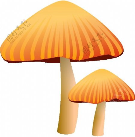 rockraikar橙色蘑菇剪贴画