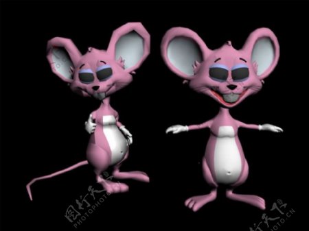 老鼠模型